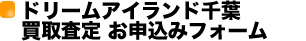 �h���[���A�C�����h��t ���捸�� ���\���݃t�H�[��
